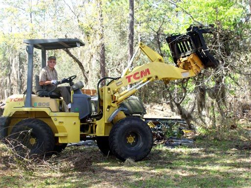 Fallen Tree Removal 