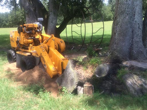 Stump Grinding Services